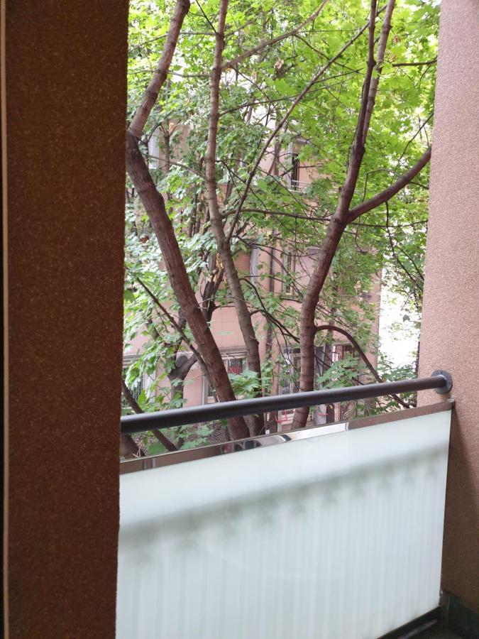 Metropol Lux Apartment Belgrade Vracar מראה חיצוני תמונה